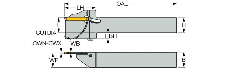‎DGTR 20B-3XL-D65